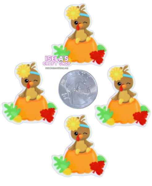 1pc -New Turkey Resin Planar- P981
