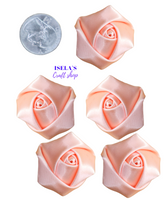 5PC -Peach  Satin Rolled Rosette Flowers H10