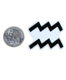 1pc -High Quality Horoscope Resin Planar